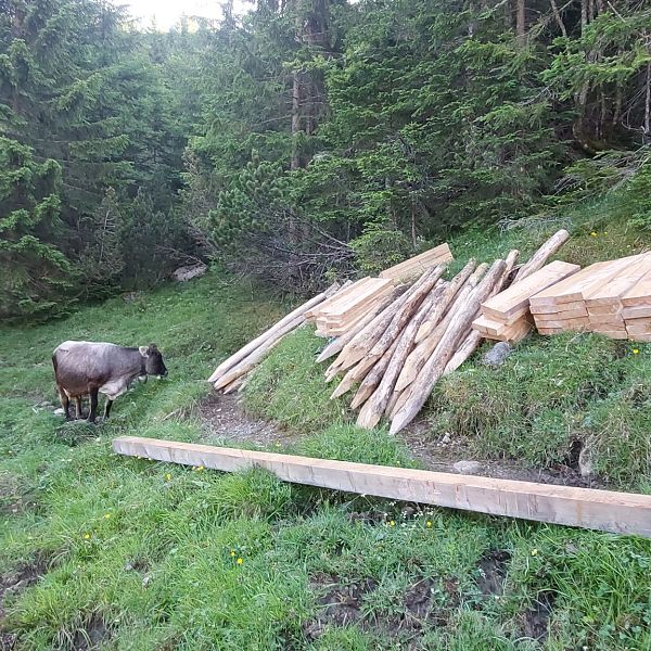 bruecken-und-wegbau-in-pfafflar-boden-15