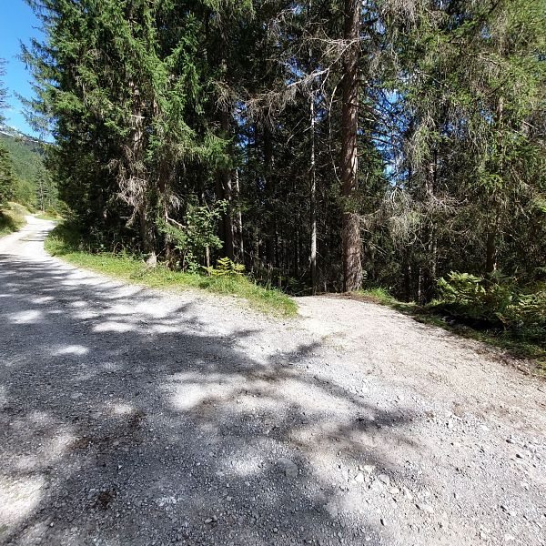 sanierung-fussweg-von-der-joechelspitze-talstation-zum-fahrweg-10