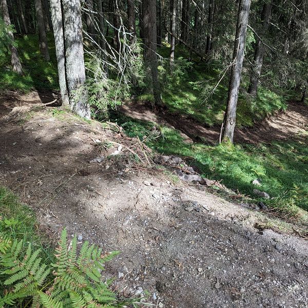 sanierung-fussweg-von-der-joechelspitze-talstation-zum-fahrweg-30