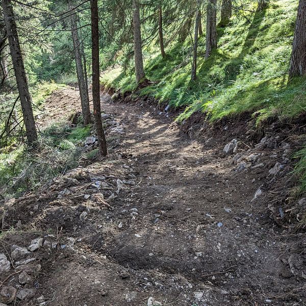 sanierung-fussweg-von-der-joechelspitze-talstation-zum-fahrweg-31