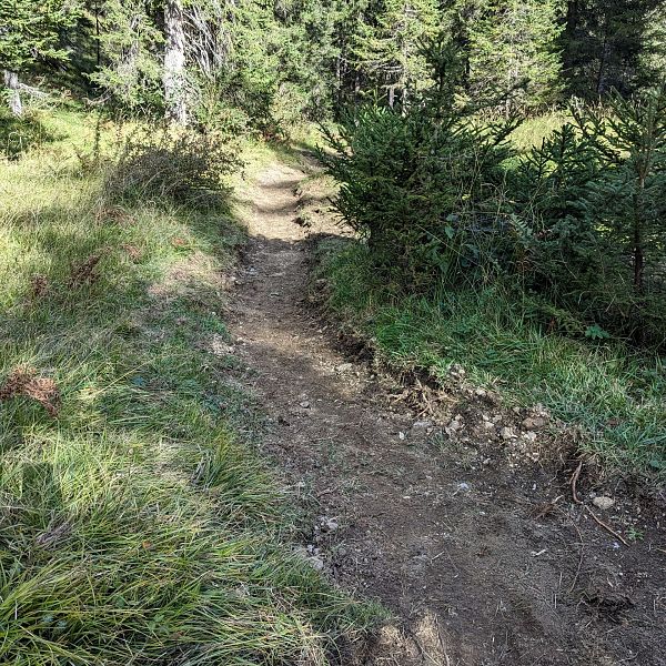 sanierung-fussweg-von-der-joechelspitze-talstation-zum-fahrweg-32