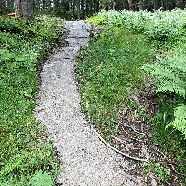 Sanierung Kasermandlsteig