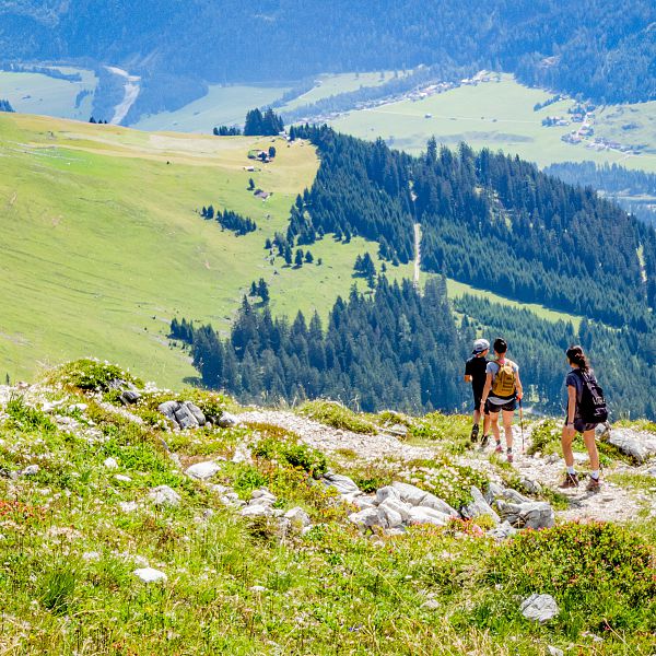 Wandern & Bergsteigen im Lechtal
