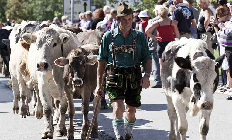almabtrieb-in-steeg