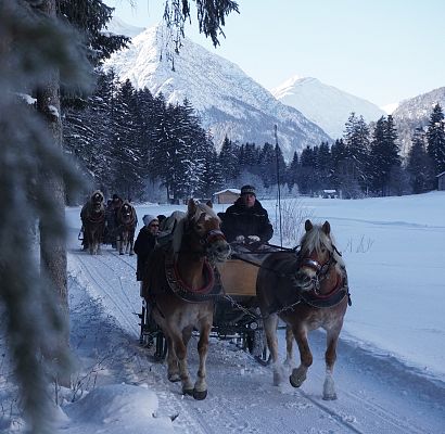 pferdeschlittenfahrt-im-lechtal-1