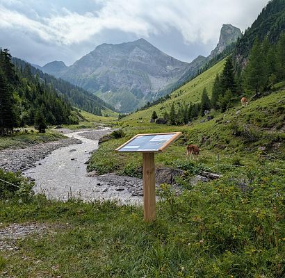 pxl-20250706-084455152