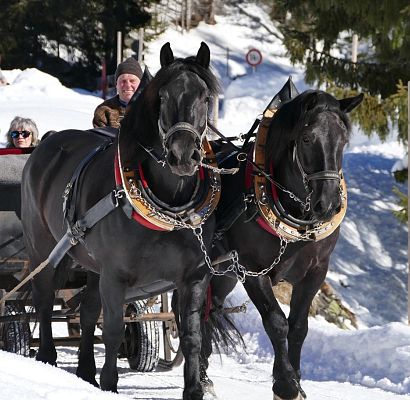ritten-met-een-paardensle-1